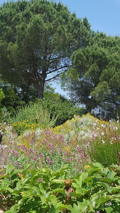 Au Calme Chez L'Habitant Foulayronnes Ngoại thất bức ảnh